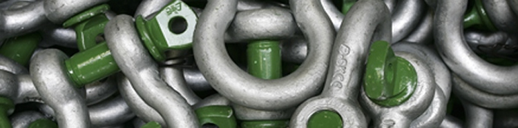 Van Beest Green Pin Shackles